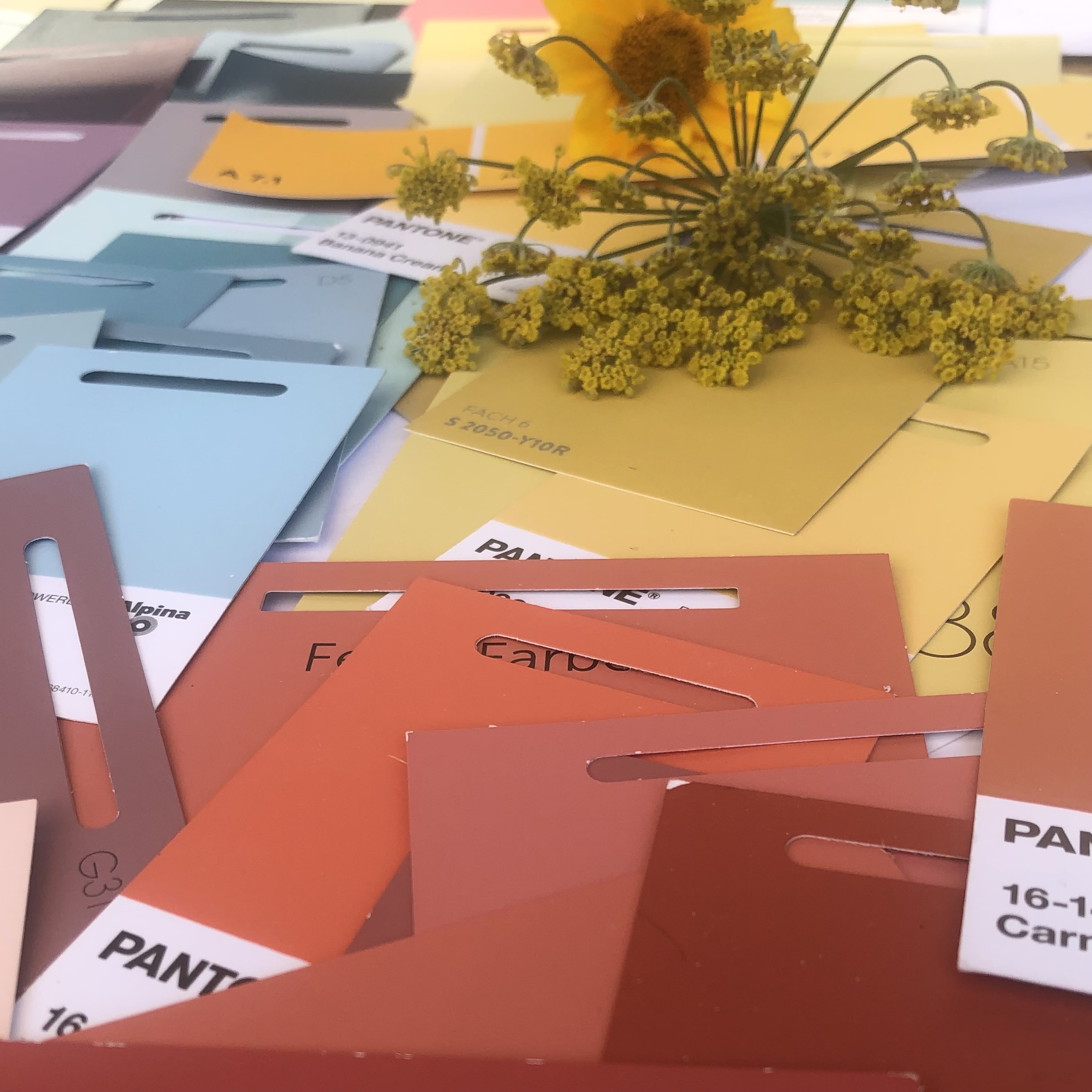 Kraft der farben Workshop